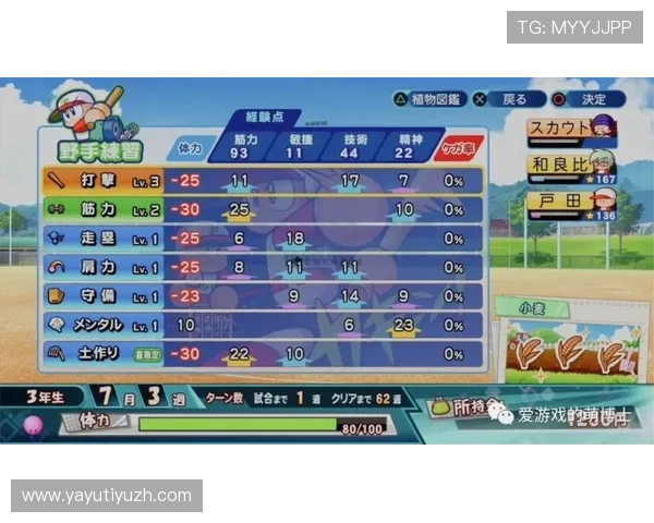 奇芒体育全面解析：如何利用奇芒体育平台提升你的体育游戏体验与竞技水平